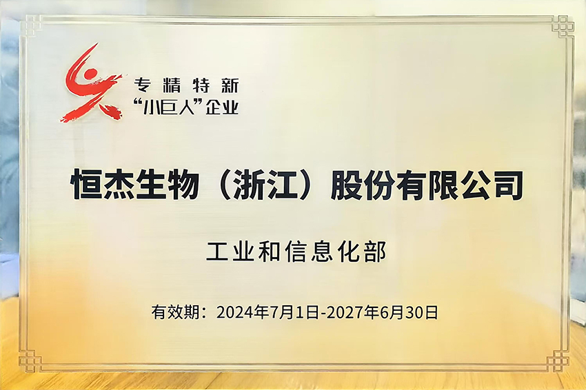 專精特新小巨人企業(yè)